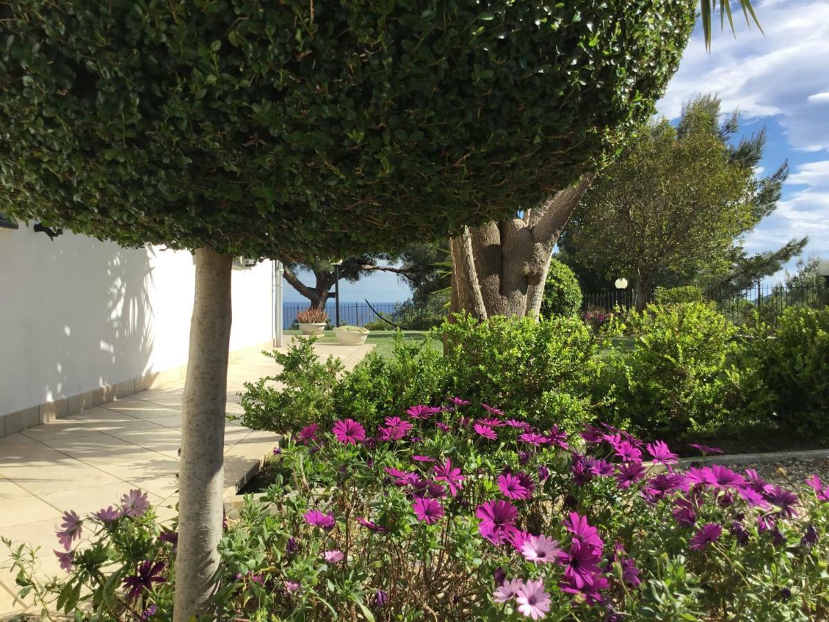 Villa Shambhala San Bartolomeo Al Mare Exteriér fotografie